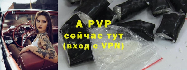 прущие крисы Магадан