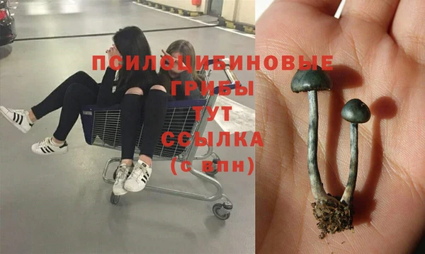 герыч Майский