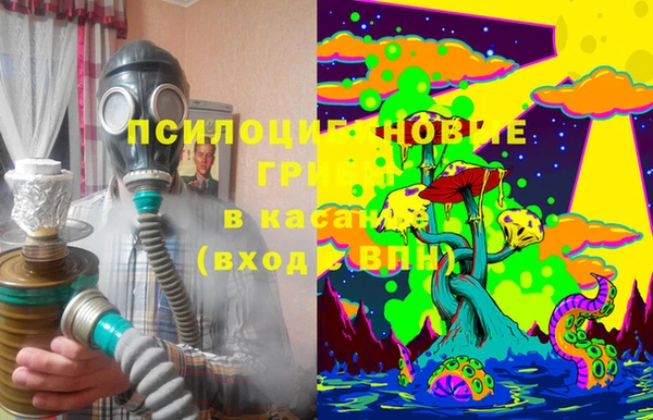прущие крисы Магадан